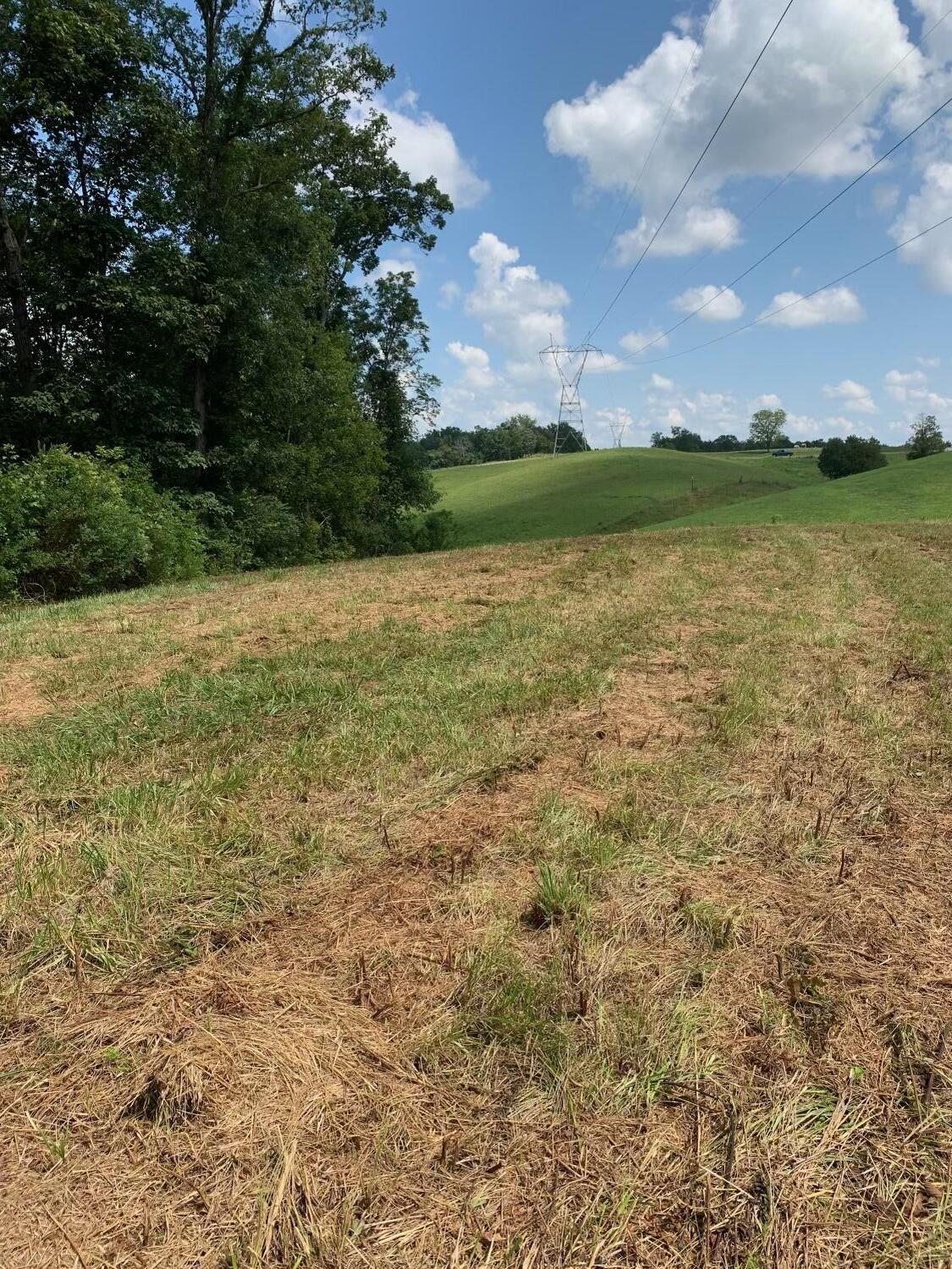 4080 Ottway Road Greeneville, TN 37745 - Photo 76 of 77 IMG-2316