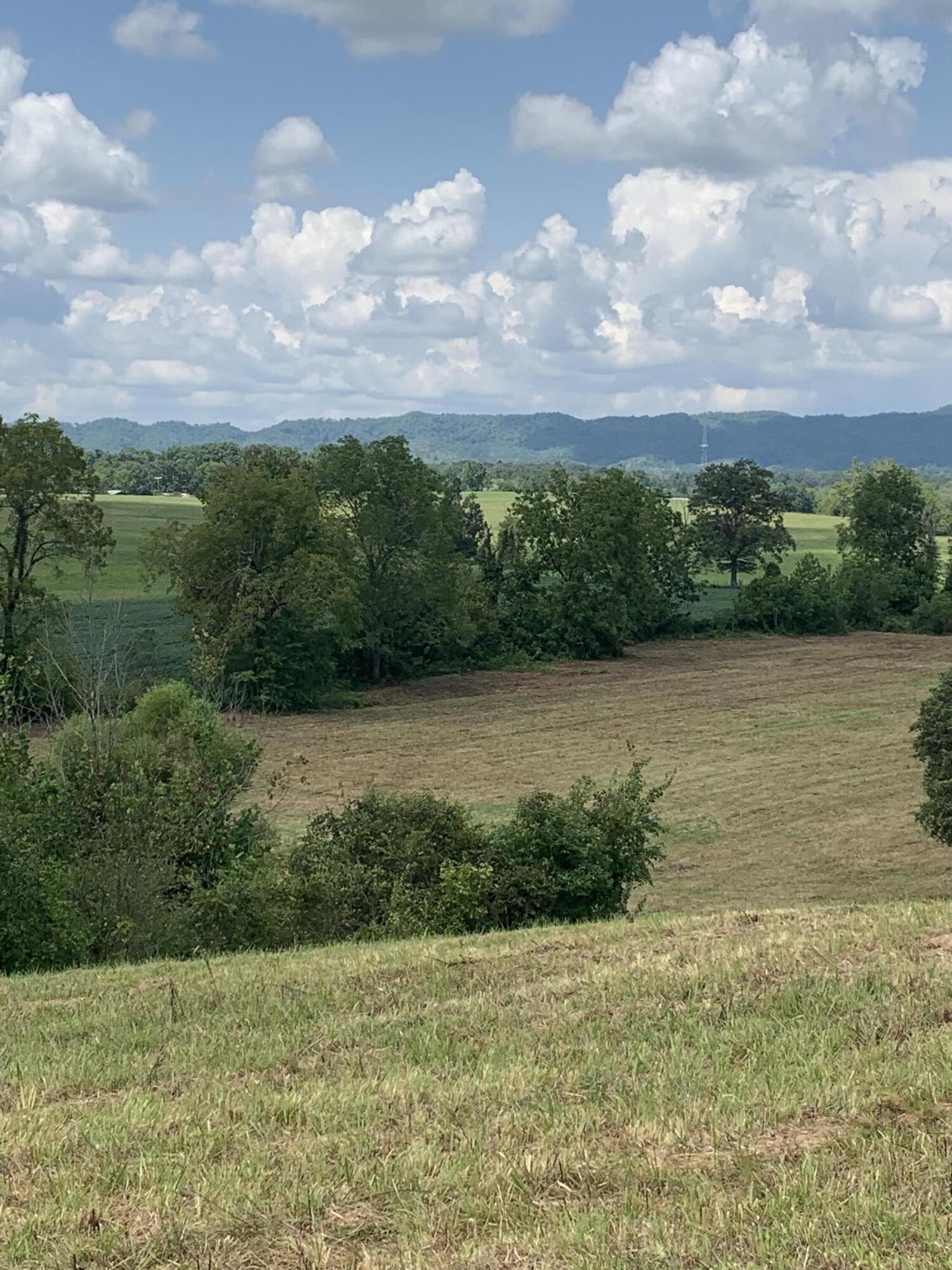 4080 Ottway Road Greeneville, TN 37745 - Photo 77 of 77 IMG-2323
