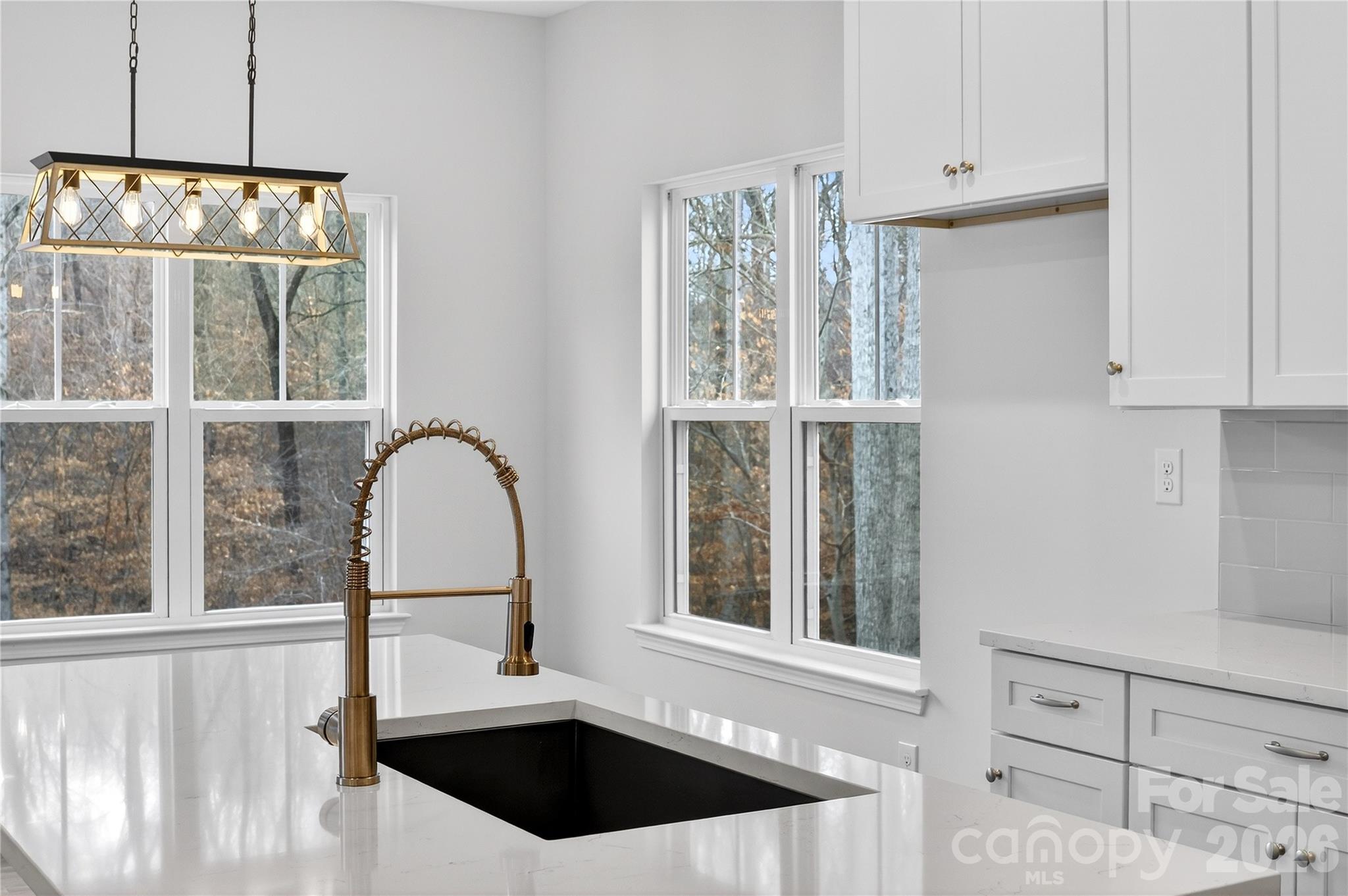 229 Shenandoah Loop Troutman, NC 28166 - Photo 31 of 48