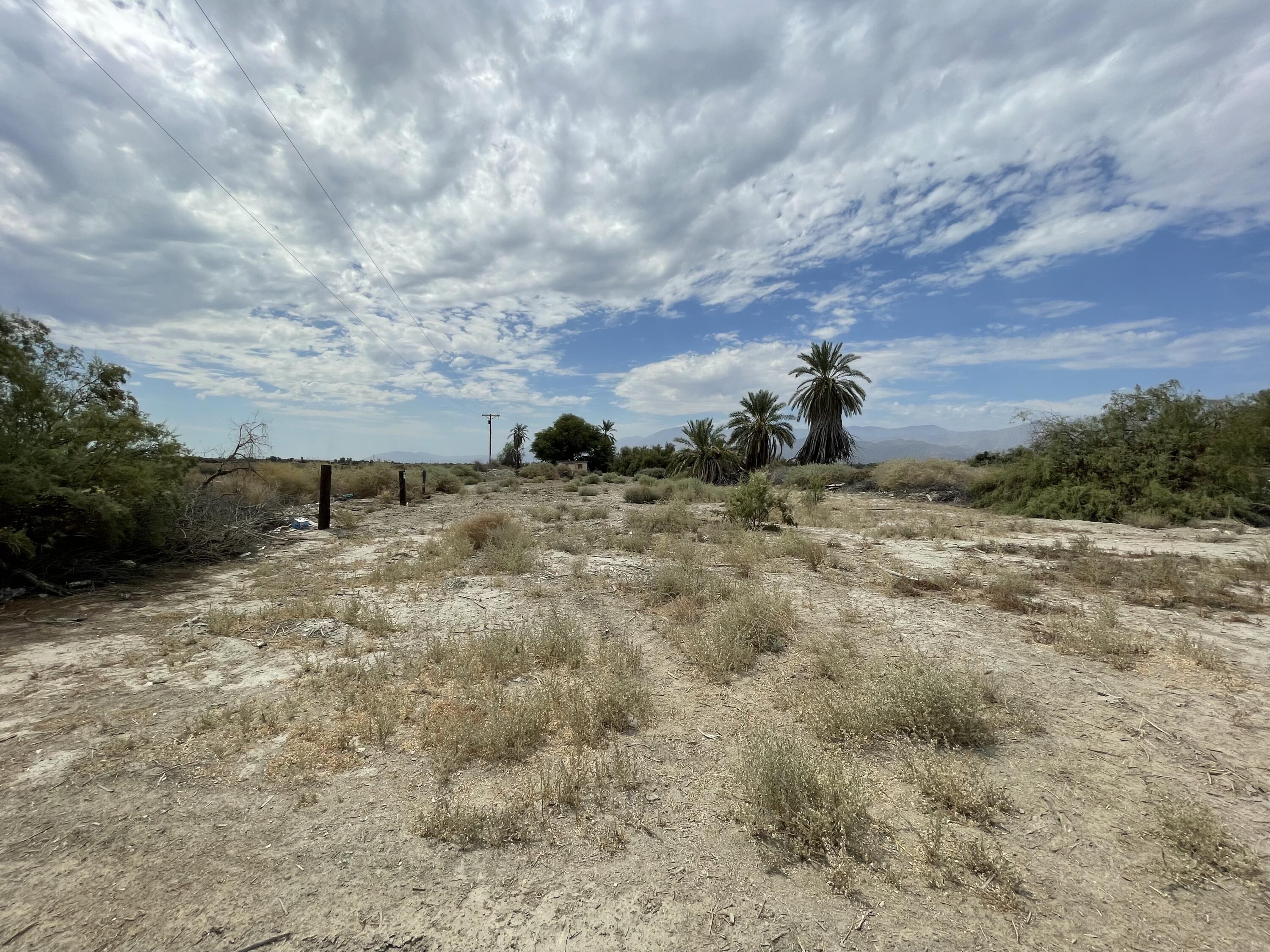 86741 Wallace Road Thermal, CA 92274 - Photo 6 of 8 IMG_2116