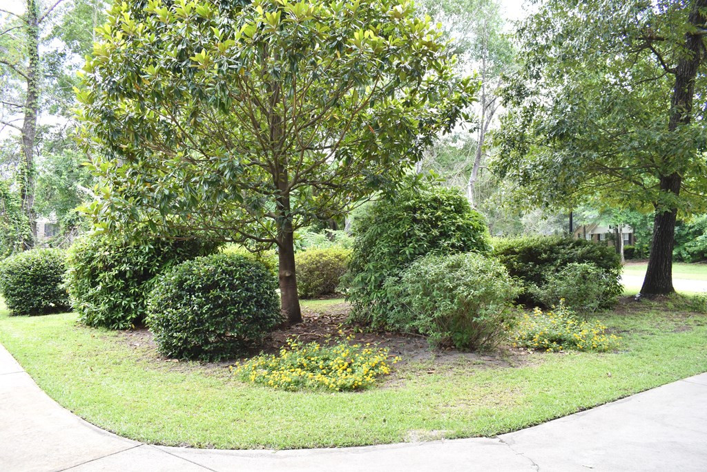 3265 Green View Parkway Sumter, SC 29150 - Photo 21 of 63
