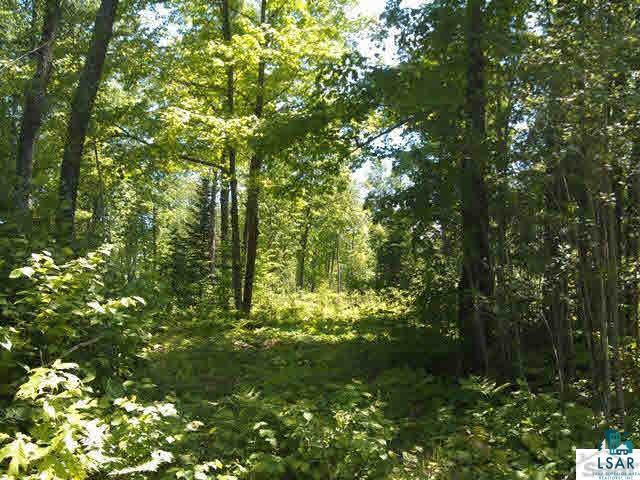Xxx Ski Hill Road Bayfield, WI 54814 - Photo 1 of 1