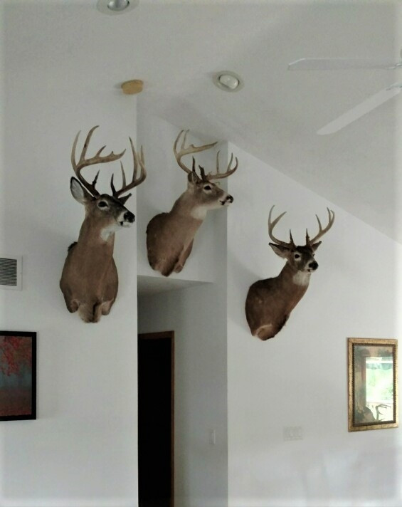 6025 Grand River Road Rives Junction, MI 49277 - Photo 7 of 25 Photo 7
