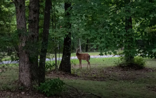 $868,000 | 28 Autumn Way, Dunlap, TN 37327