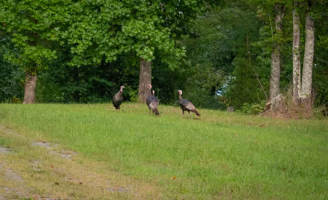 $868,000 | 28 Autumn Way, Dunlap, TN 37327