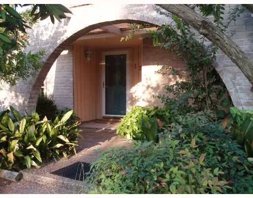 a view of a backyard with plants
