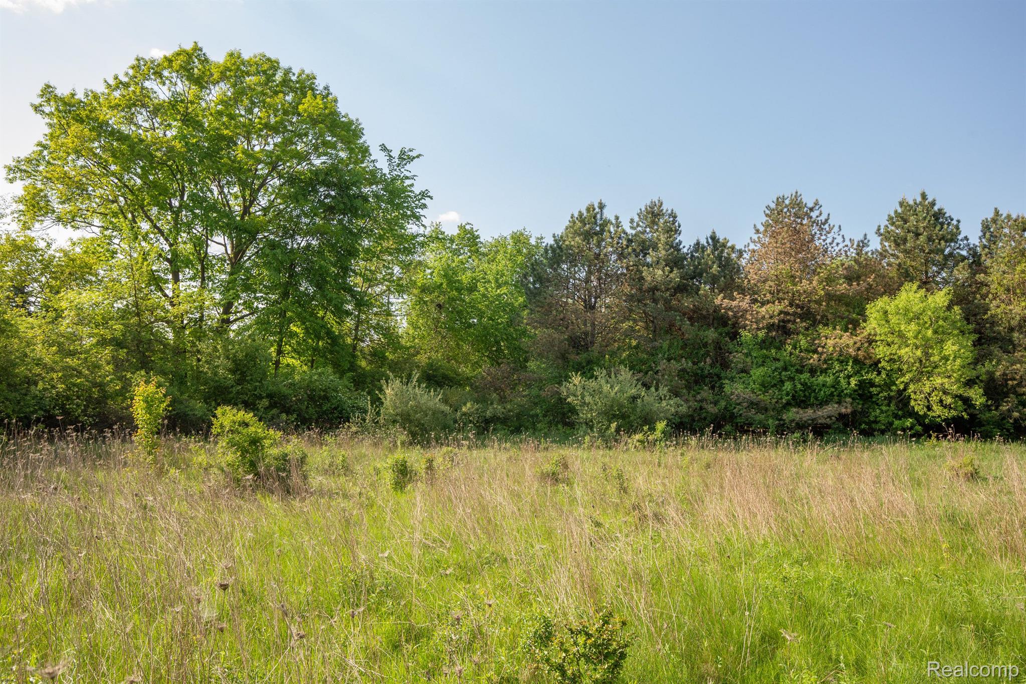 7970 West Liberty Road Ann Arbor, MI 48103 - Photo 19 of 24 Gallery Image 19