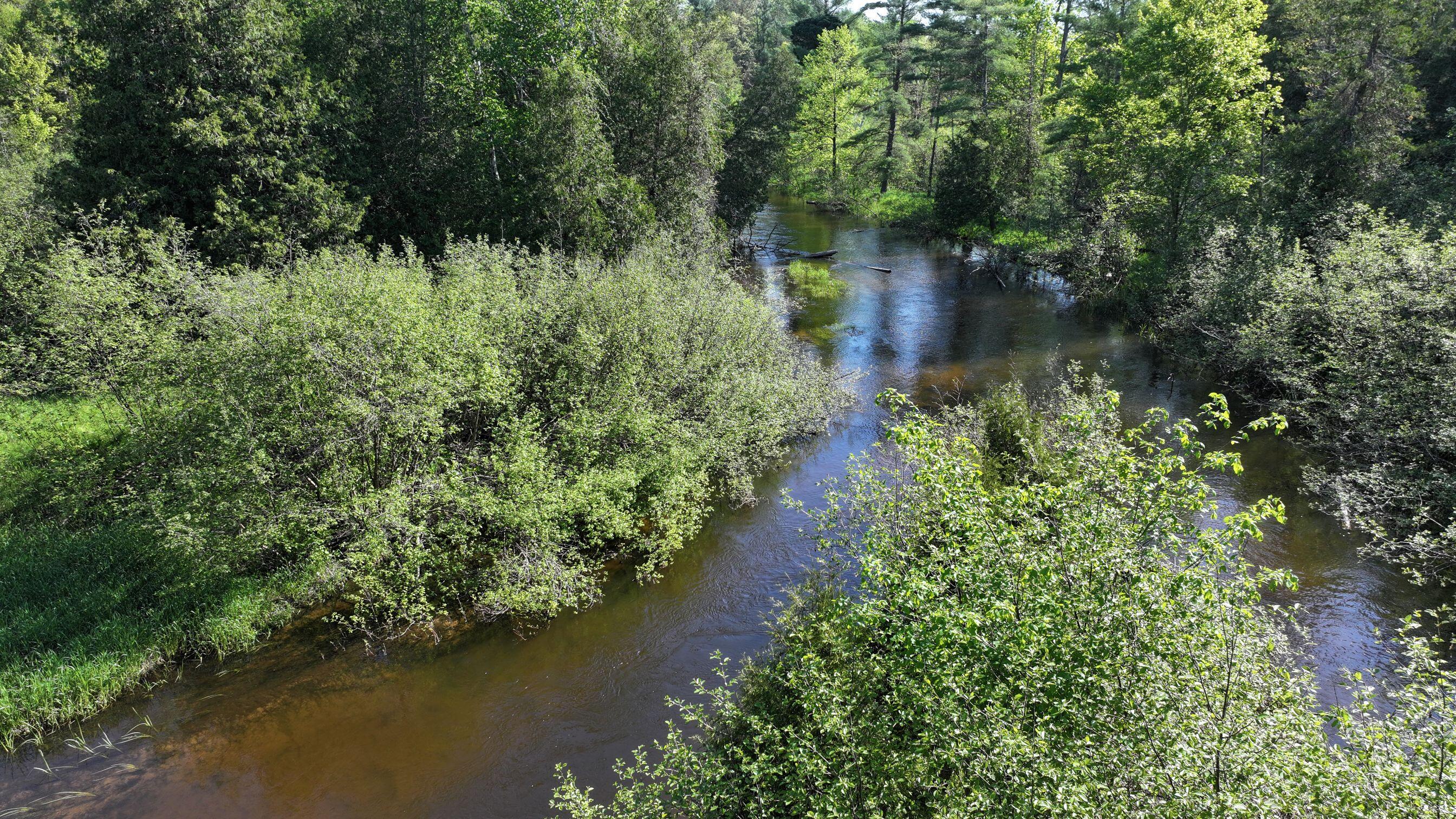V/l West Pomeroy Springs Road Irons, MI 49644 - Photo 4 of 27 DJI_20260526094530_0368_D