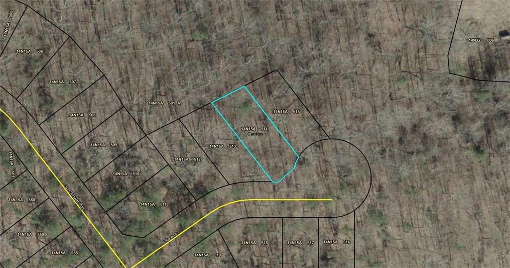 413 Solace Place Canton, GA 30114 - Photo 46 of 75