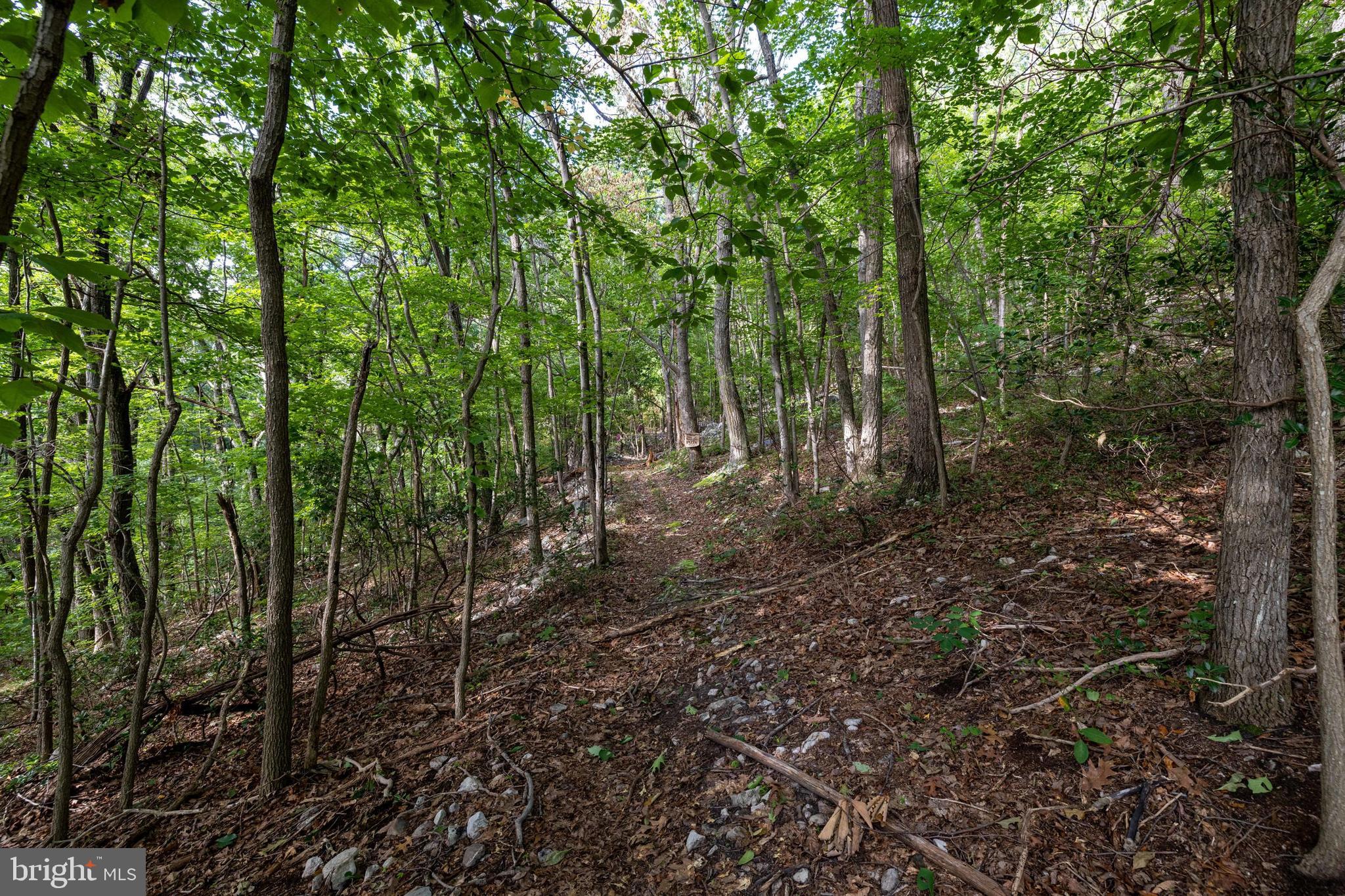 Lot B54 Roundhead Mountain Road Stanley, VA 22851 - Photo 15 of 43 Gallery Image 15