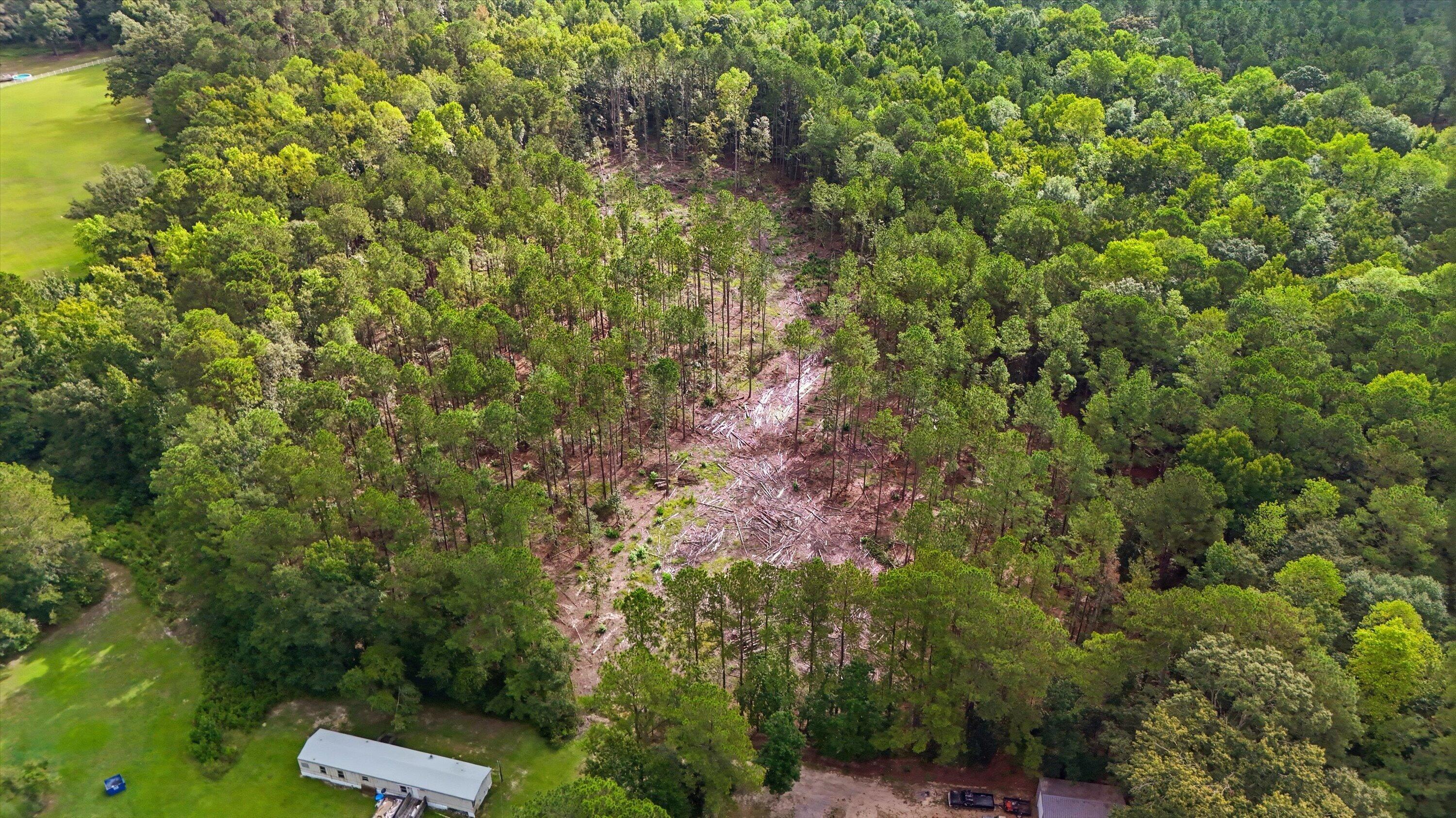 0 Barracada Road Walterboro, SC 29488 - Photo 24 of 26 24-022_DJI_20260910100528_0042_D