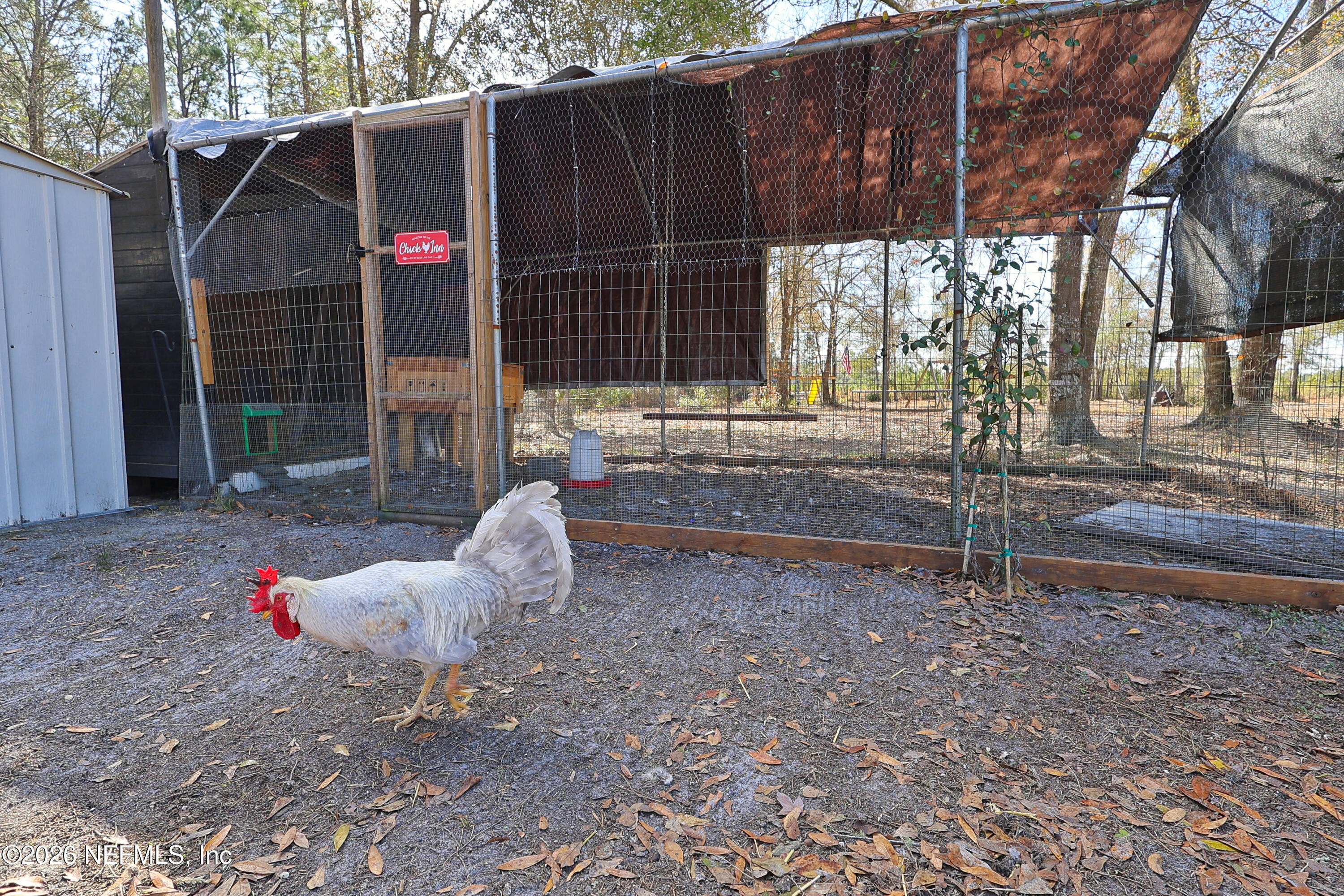 4680 Southeast 92nd Street Starke, FL 32091 - Photo 49 of 80 chicken coop