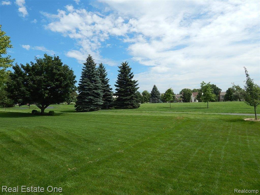 1690 Foresthill Drive Rochester, MI 48306 - Photo 20 of 21 the park.JPG