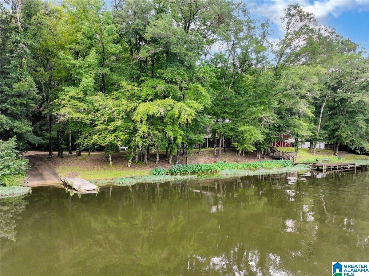526 Boat Launch Road Quinton, AL 35130 - Photo 37 of 56
