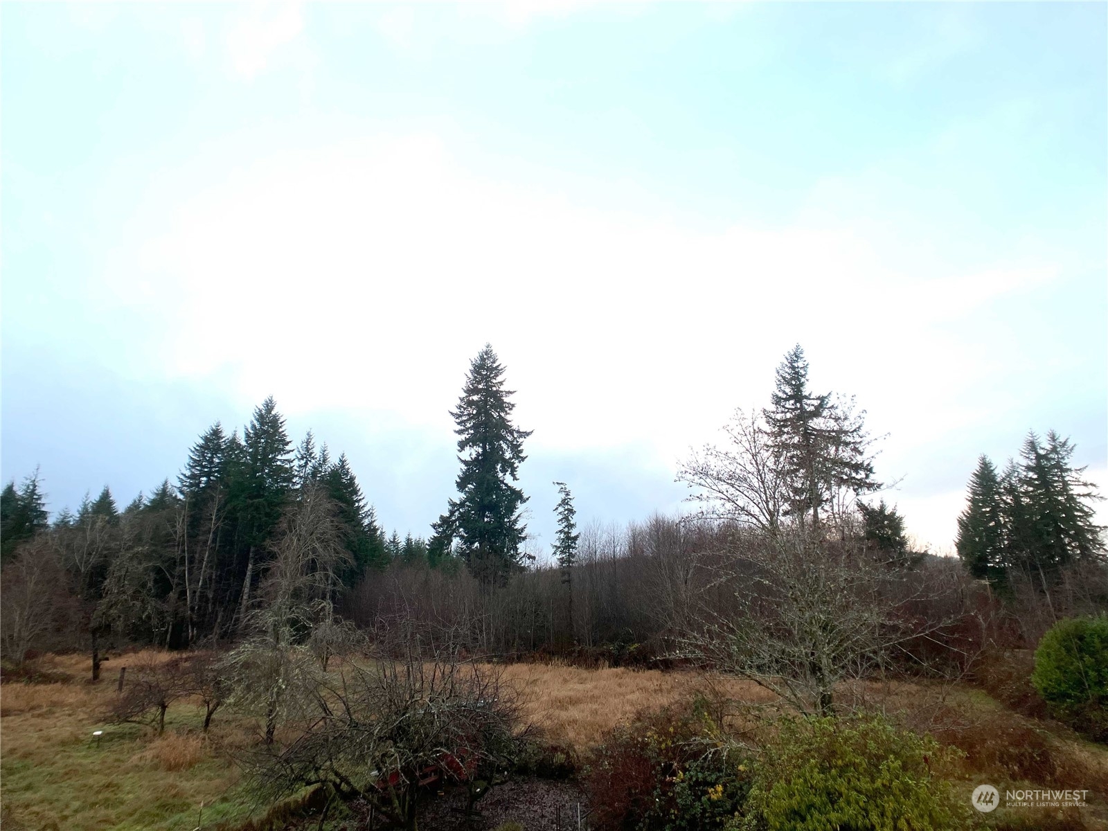 125 Sund Road Elma, WA 98541 - Photo 28 of 31 Gallery Image 28