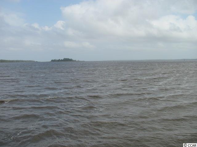 158 Commanders Island Road Georgetown, SC 29440 - Photo 15 of 19 Gallery Image 15