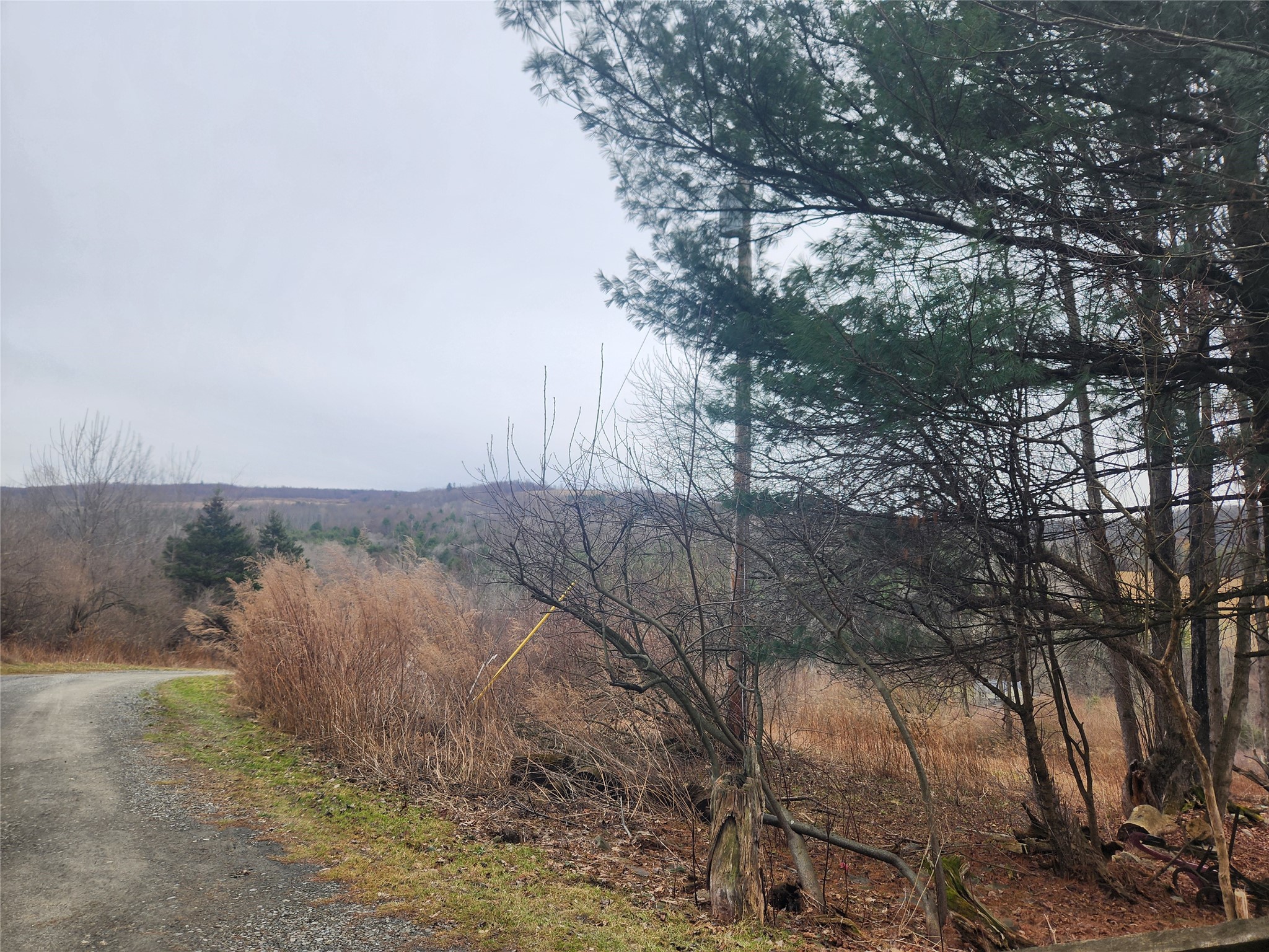 245 Powderhouse Road Vestal, NY 13850 - Photo 18 of 27