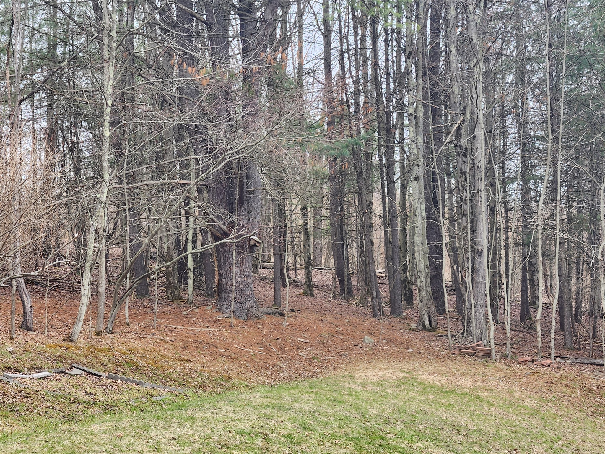 245 Powderhouse Road Vestal, NY 13850 - Photo 26 of 27