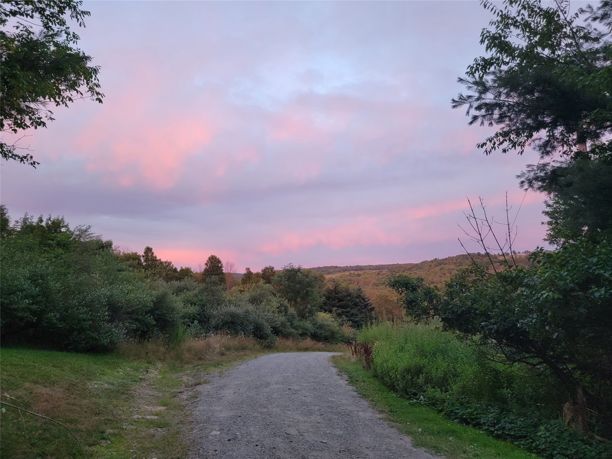 245 Powderhouse Road Vestal, NY 13850 - Photo 4 of 27