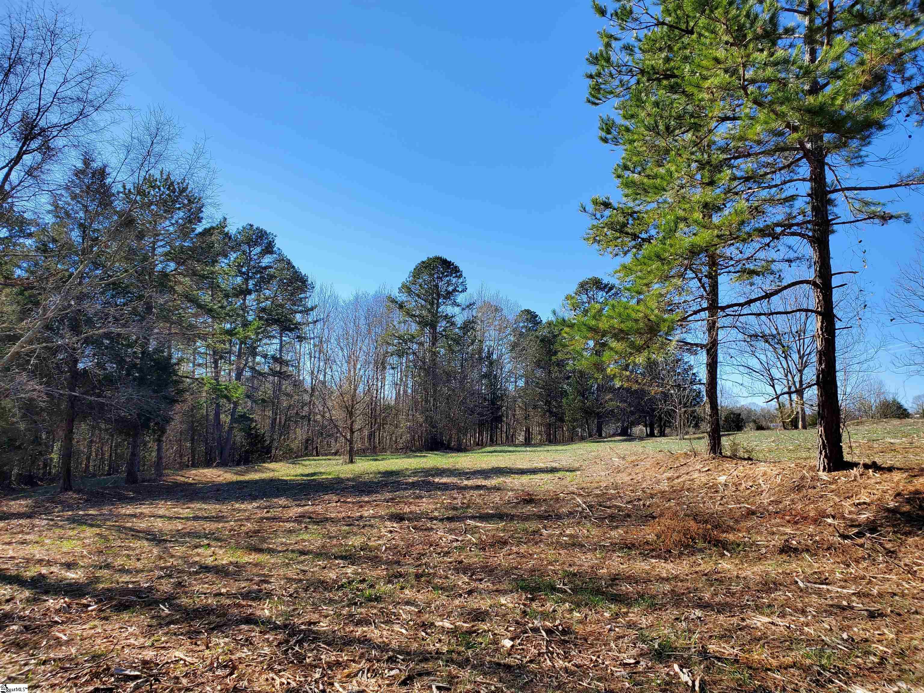 5 Ritchie Road, Unit LOT 5PENNINGTON FARMS) Fountain Inn, SC 29644 - Photo 11 of 21