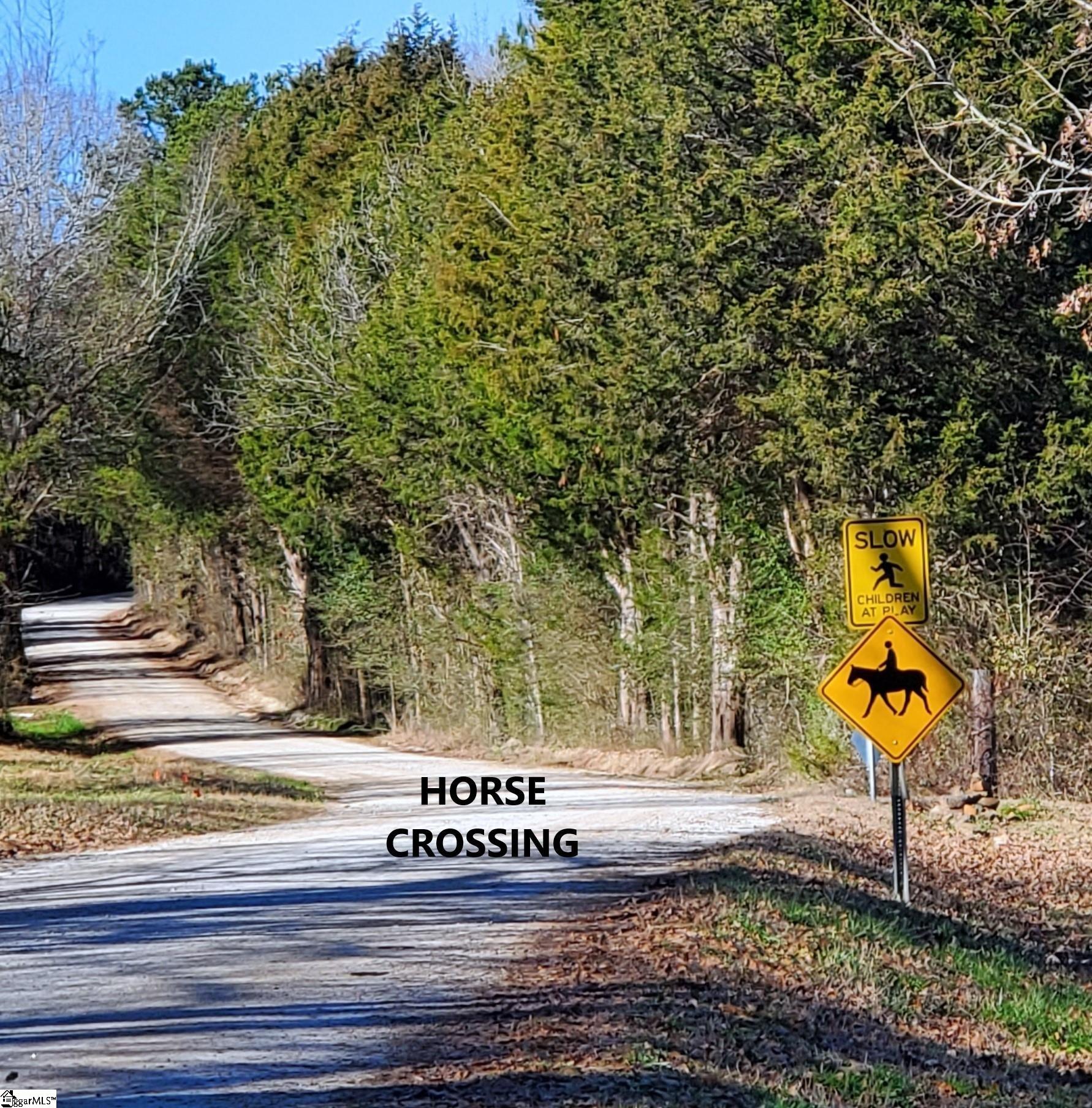 5 Ritchie Road, Unit LOT 5PENNINGTON FARMS) Fountain Inn, SC 29644 - Photo 20 of 21