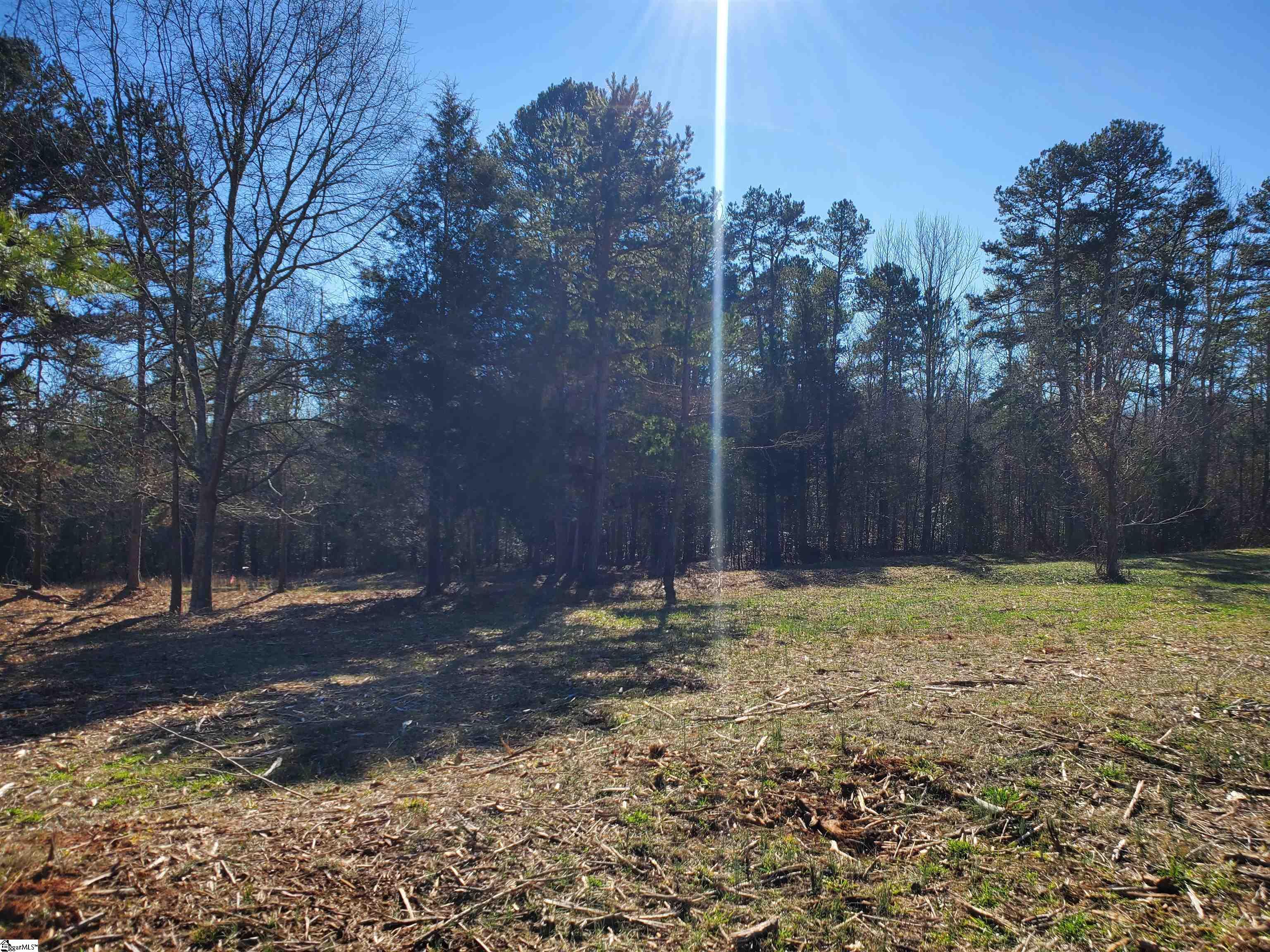 5 Ritchie Road, Unit LOT 5PENNINGTON FARMS) Fountain Inn, SC 29644 - Photo 3 of 21