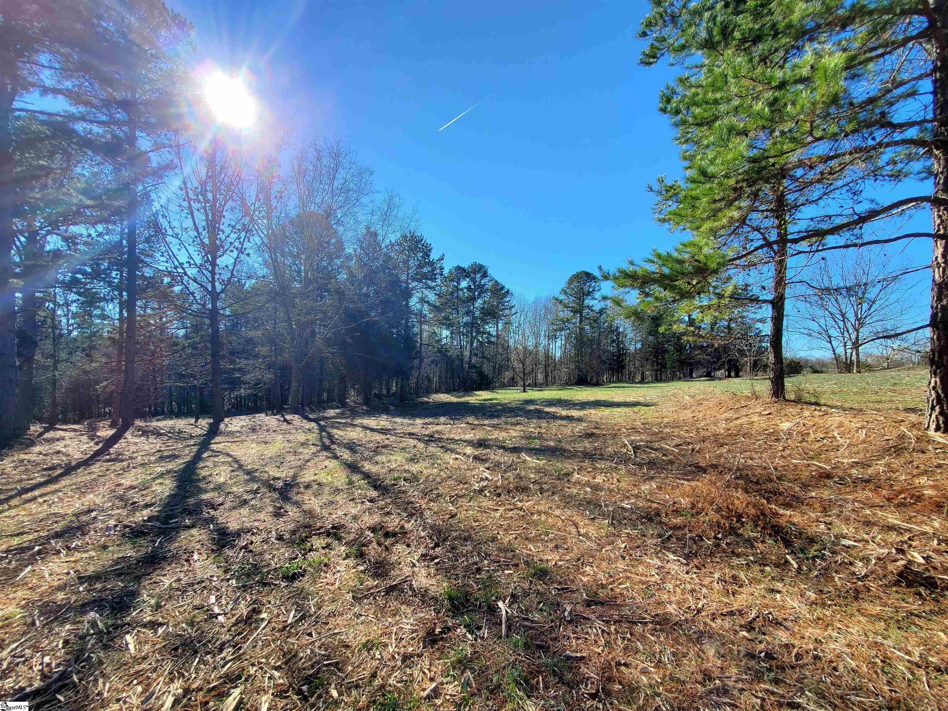 5 Ritchie Road, Unit LOT 5PENNINGTON FARMS) Fountain Inn, SC 29644 - Photo 5 of 21