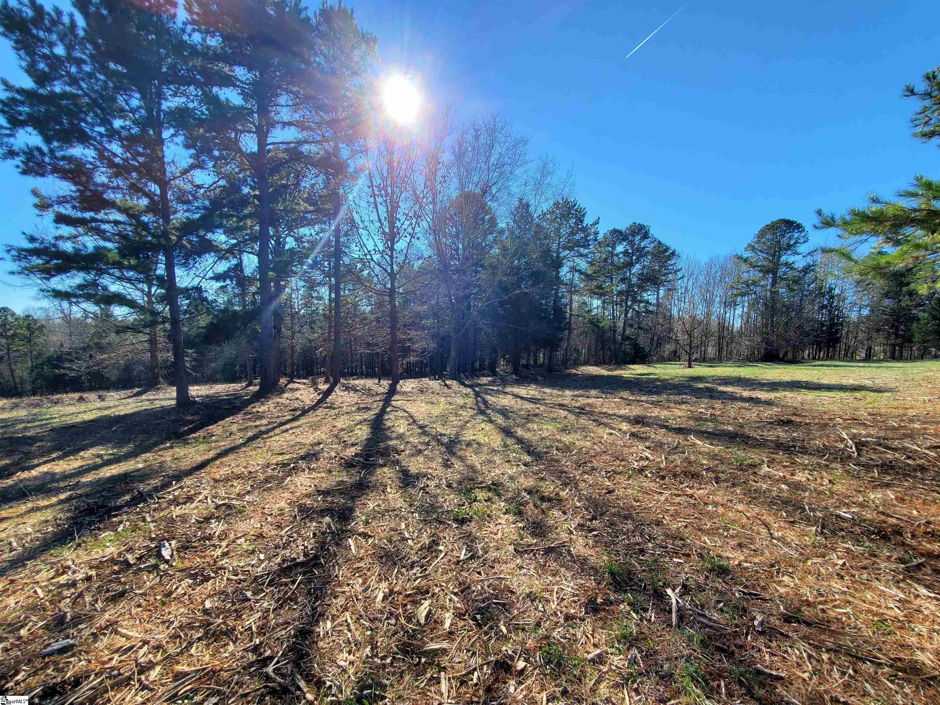 5 Ritchie Road, Unit LOT 5PENNINGTON FARMS) Fountain Inn, SC 29644 - Photo 6 of 21