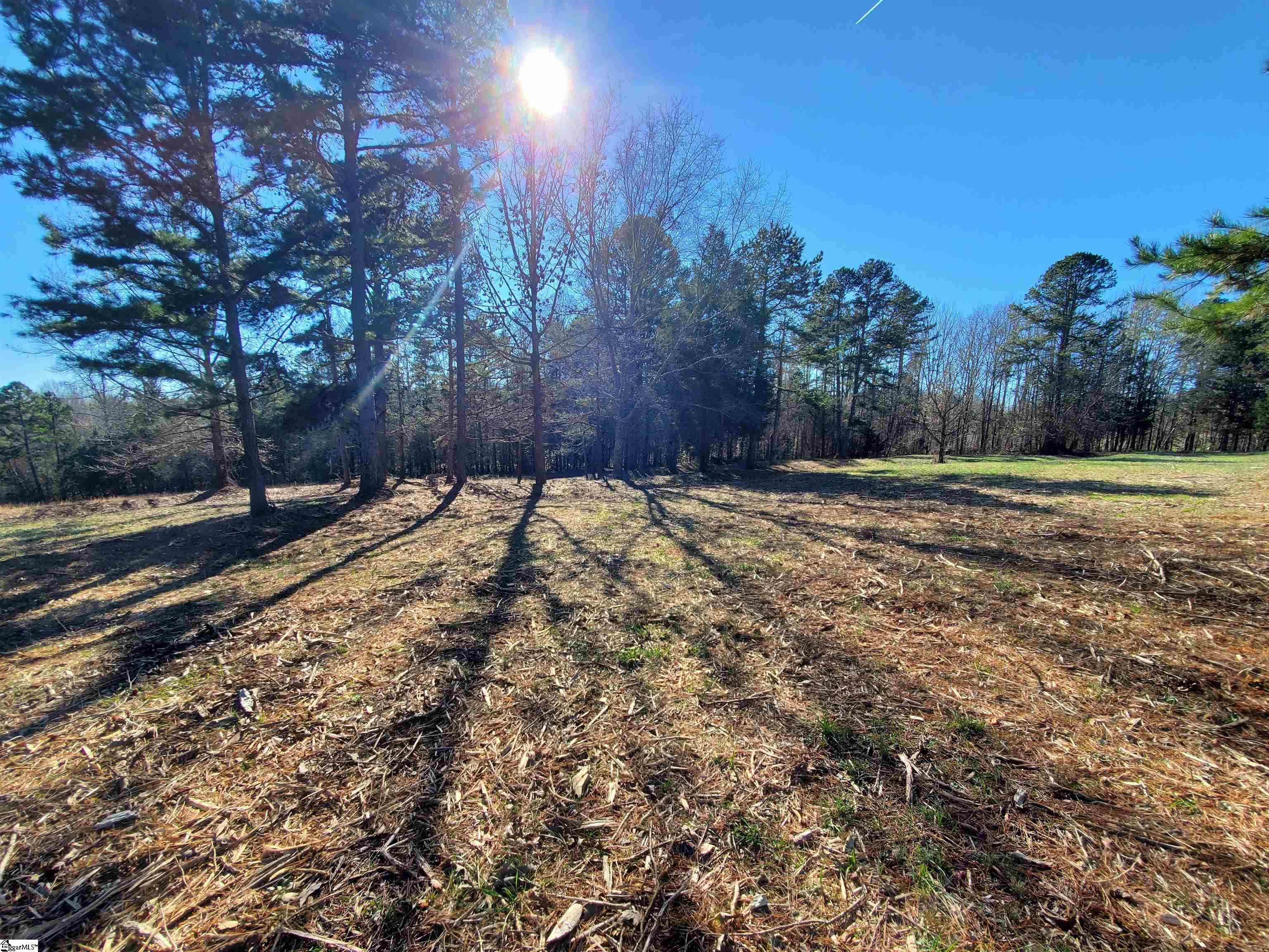 5 Ritchie Road, Unit LOT 5PENNINGTON FARMS) Fountain Inn, SC 29644 - Photo 7 of 21