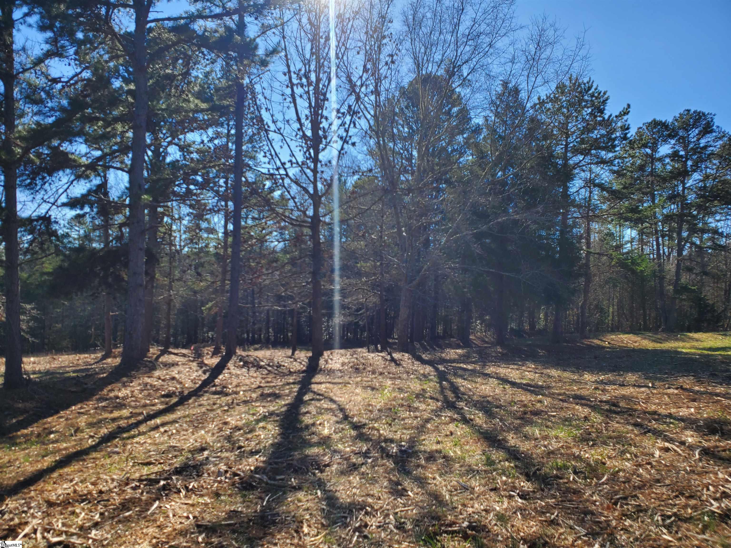5 Ritchie Road, Unit LOT 5PENNINGTON FARMS) Fountain Inn, SC 29644 - Photo 8 of 21