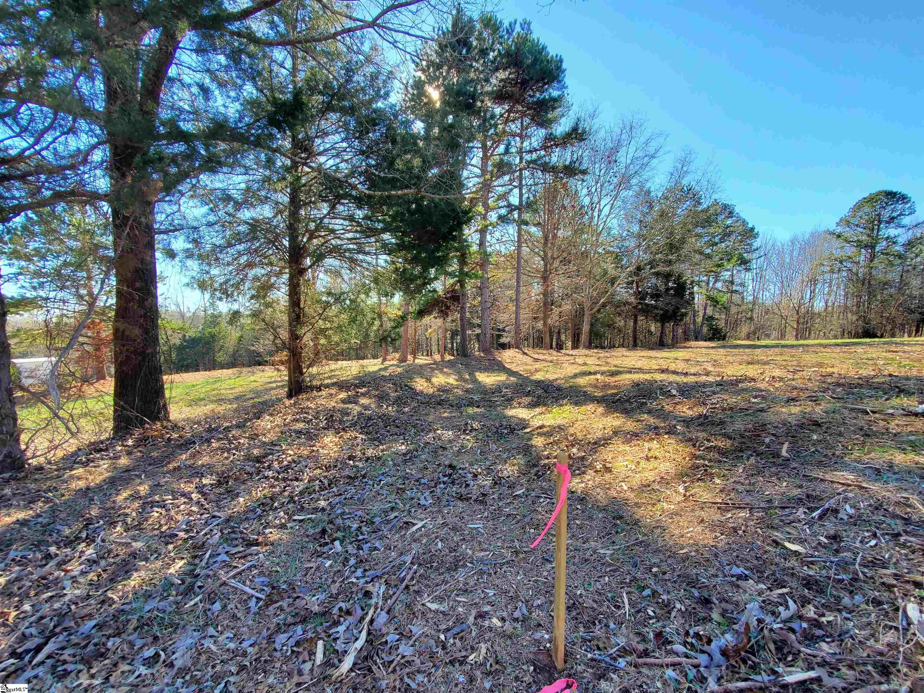 5 Ritchie Road, Unit LOT 5PENNINGTON FARMS) Fountain Inn, SC 29644 - Photo 9 of 21