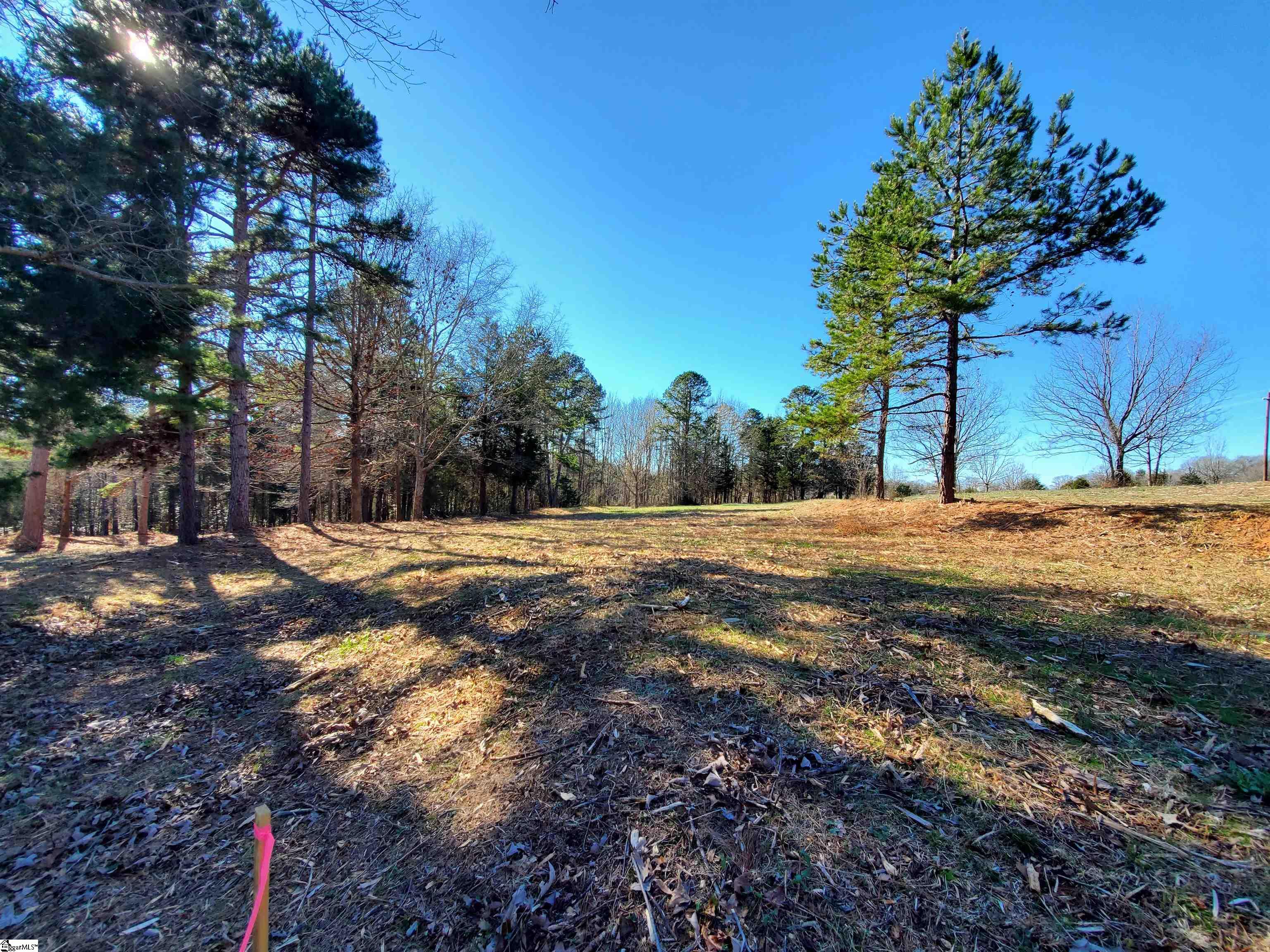 5 Ritchie Road, Unit LOT 5PENNINGTON FARMS) Fountain Inn, SC 29644 - Photo 10 of 21