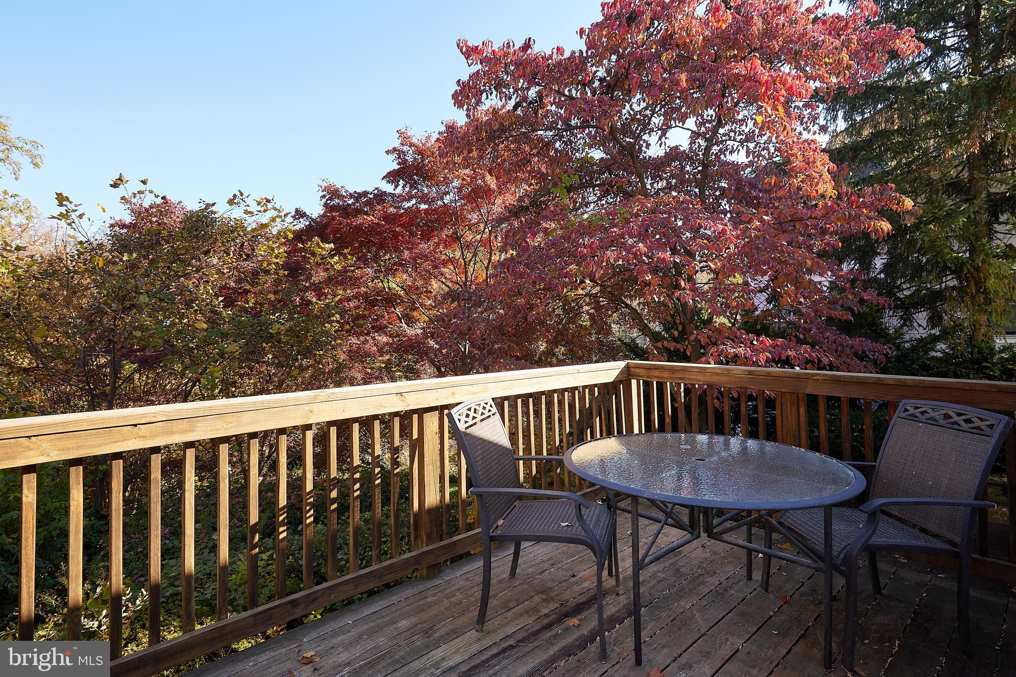 2913 24th Street North Arlington, VA 22207 - Photo 24 of 30 a view of a chairs and table on the deck