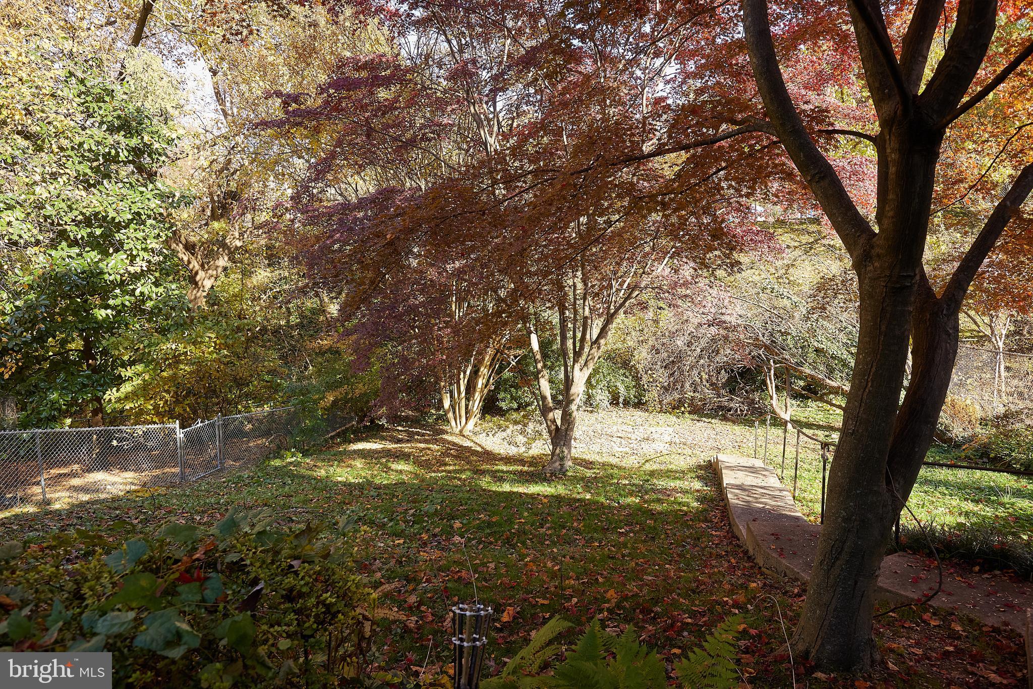 2913 24th Street North Arlington, VA 22207 - Photo 25 of 30 a view of outdoor space and yard
