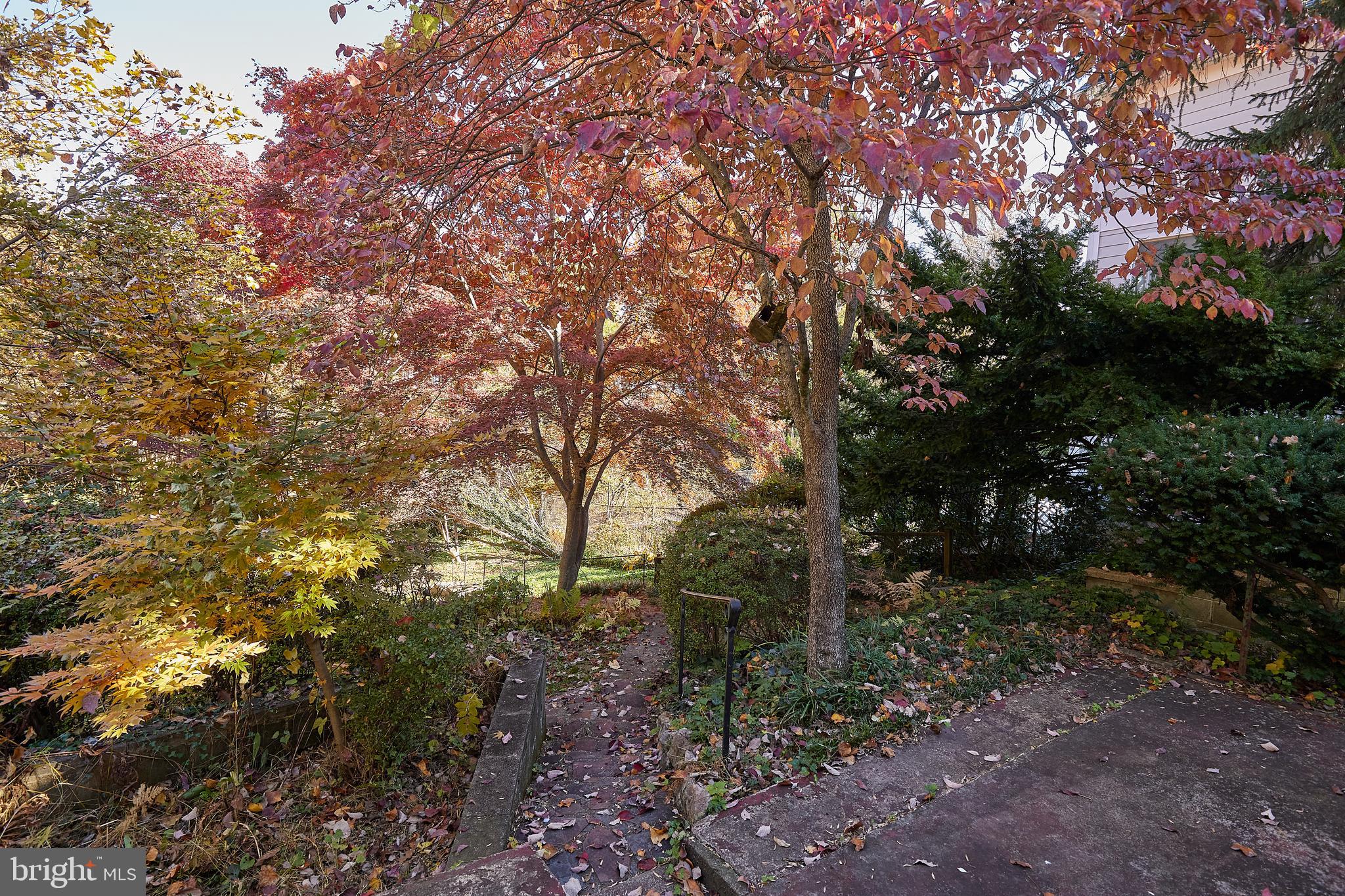 2913 24th Street North Arlington, VA 22207 - Photo 28 of 30 a view of forest