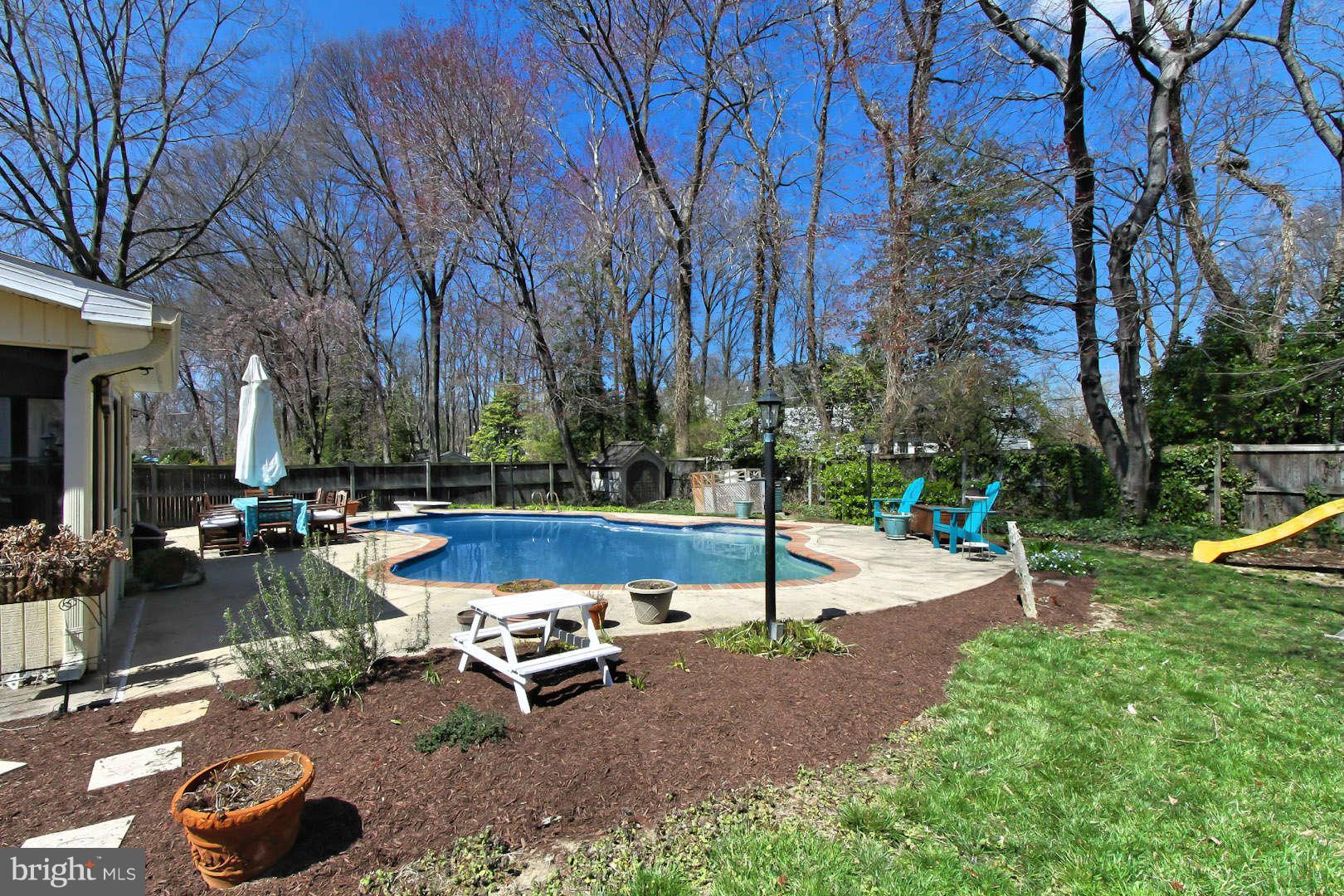 1908 Cool Spring Drive Alexandria, VA 22308 - Photo 22 of 28 Back Yard