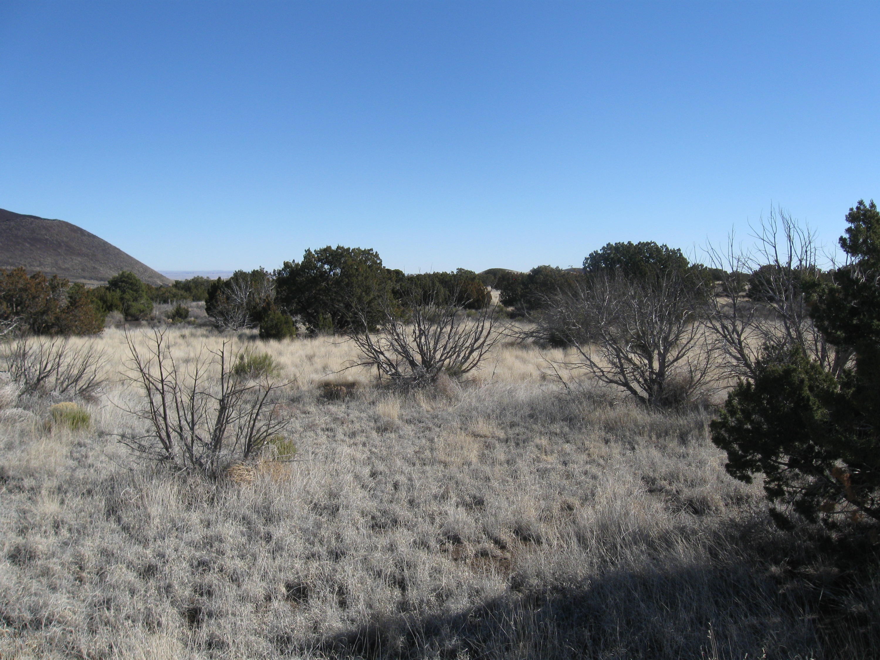 42-027 Alpine Ranch Flagstaff, AZ 86004 - Photo 2 of 2 3 002 303-42-029 Wallace