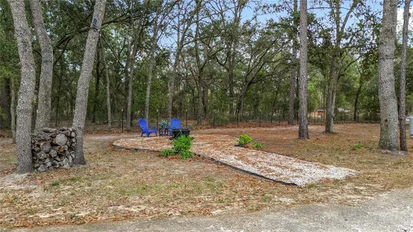 a view of a yard with plants and trees