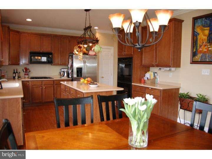 4 Phillips Circle Aston, PA 19014 - Photo 7 of 17 Kitchen