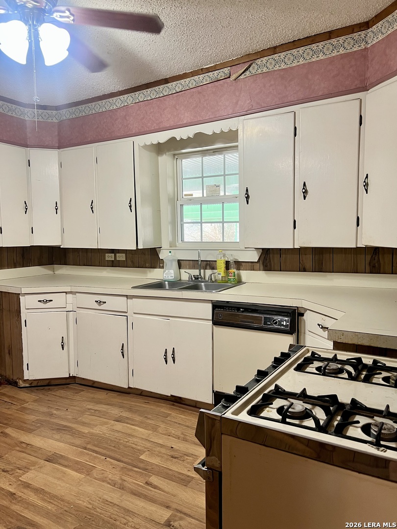 413 4th Street Poteet, TX 78065 - Photo 6 of 24