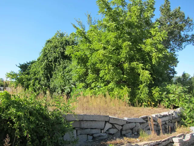 $109,000 | 282-284 North State Street, Concord, NH 03301