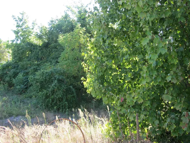 $109,000 | 282-284 North State Street, Concord, NH 03301