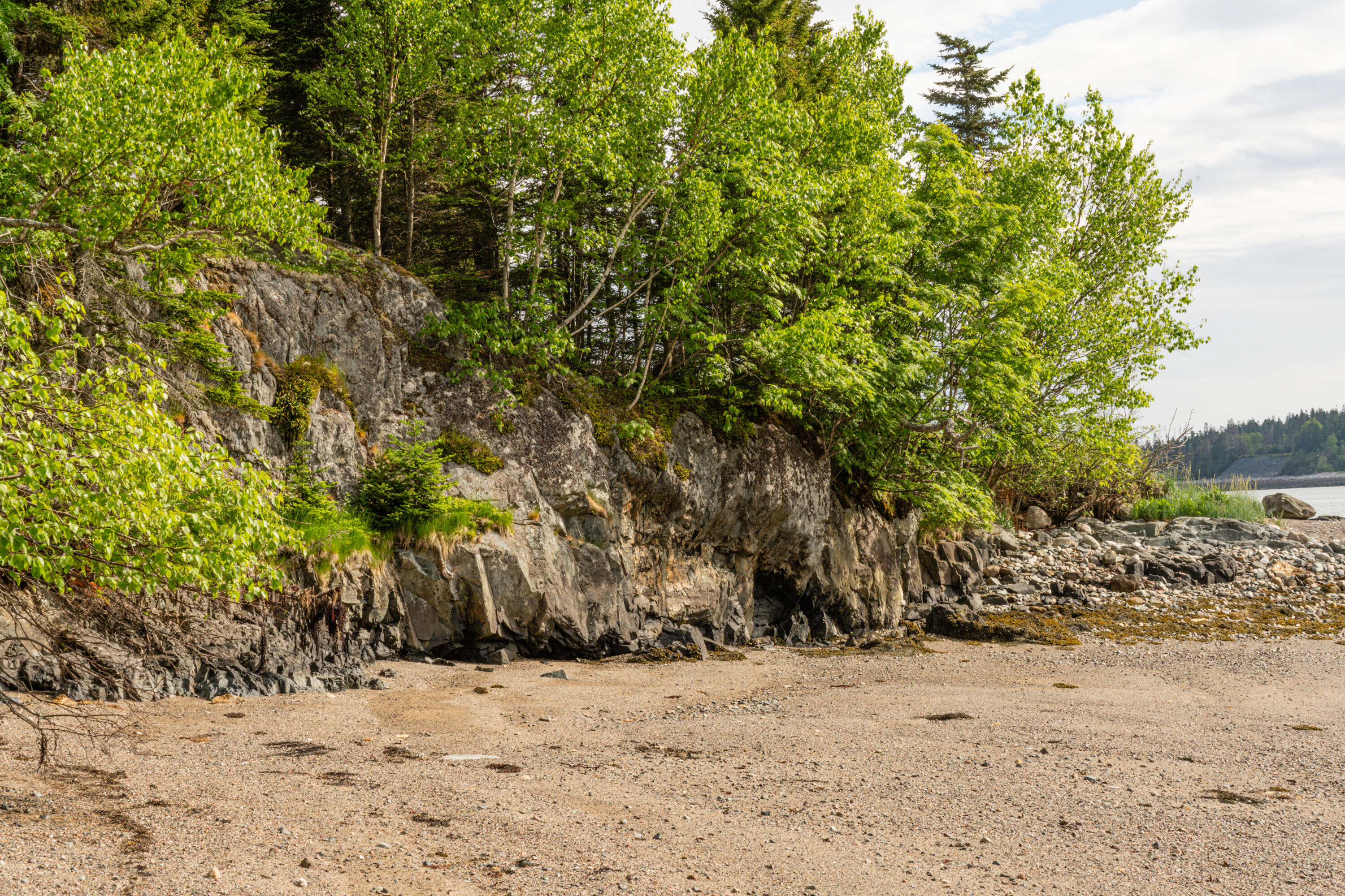 557 Yoho Head Road Machiasport, ME 04655 - Photo 73 of 136 Common Area 4