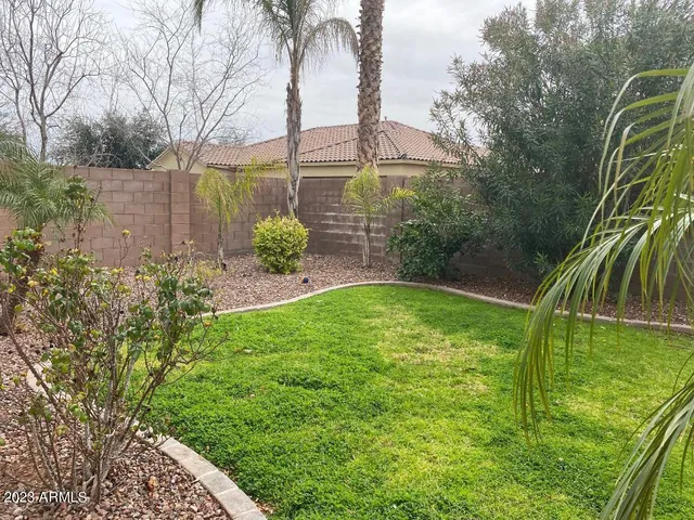 a view of a yard with plants and large trees