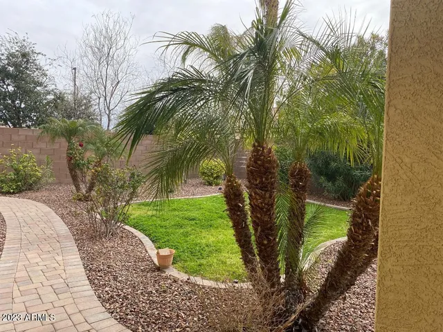 a view of a garden with a fountain
