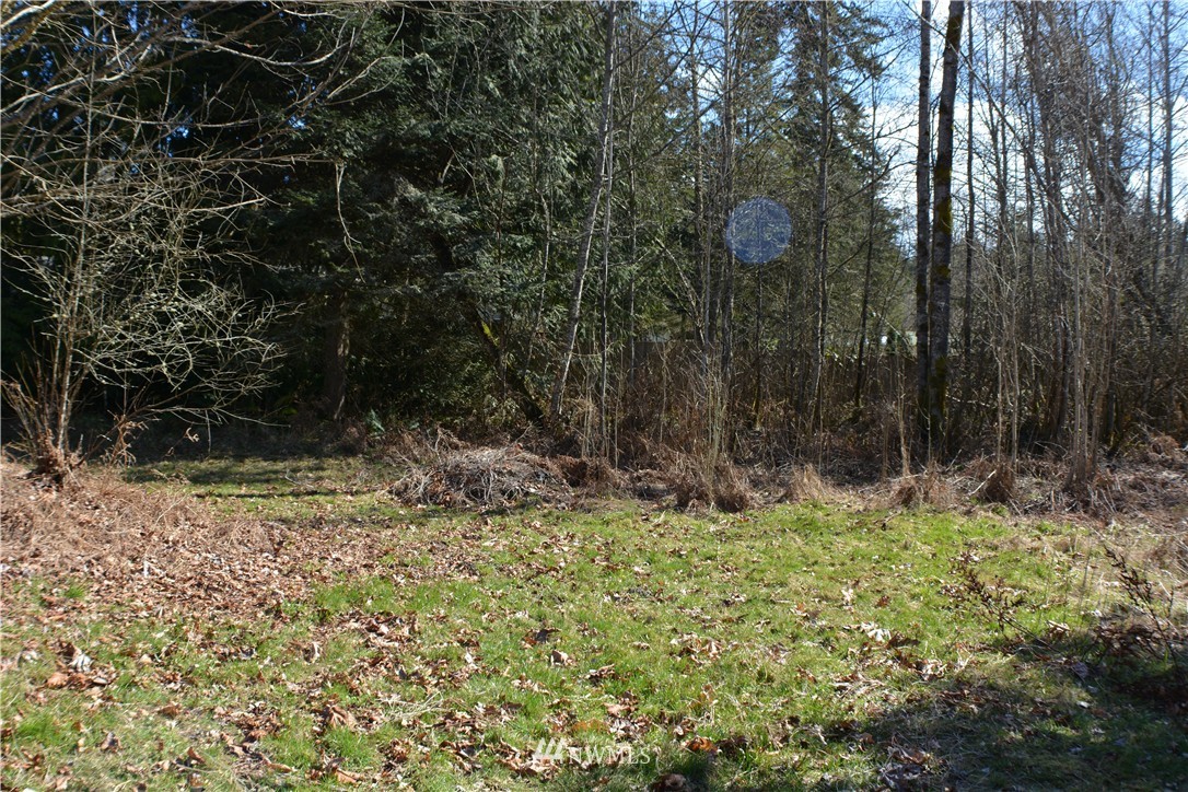 1763 Deer Park Road Port Angeles, WA 98362 - Photo 5 of 19 Gallery Image 5