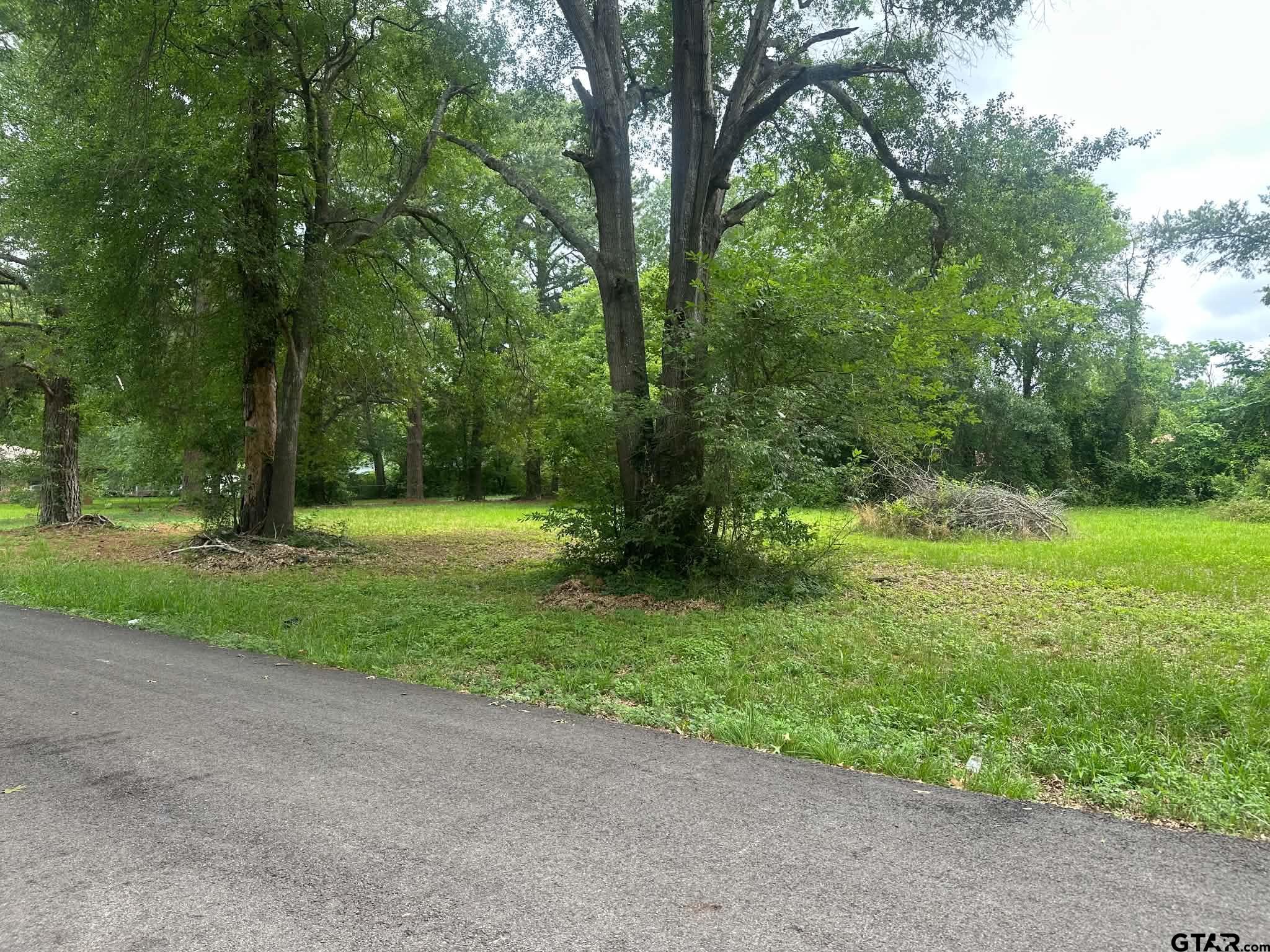 0 Ricky Drive Palestine, TX 75801 - Photo 2 of 6 a view of a park with large trees