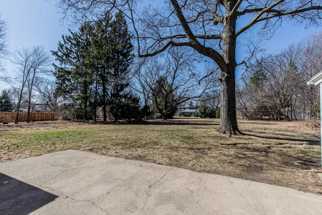 a view of a yard with trees