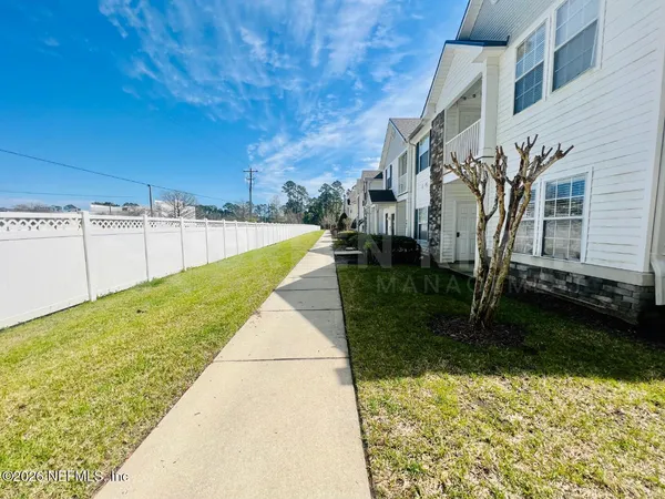 a view of a backyard with plants