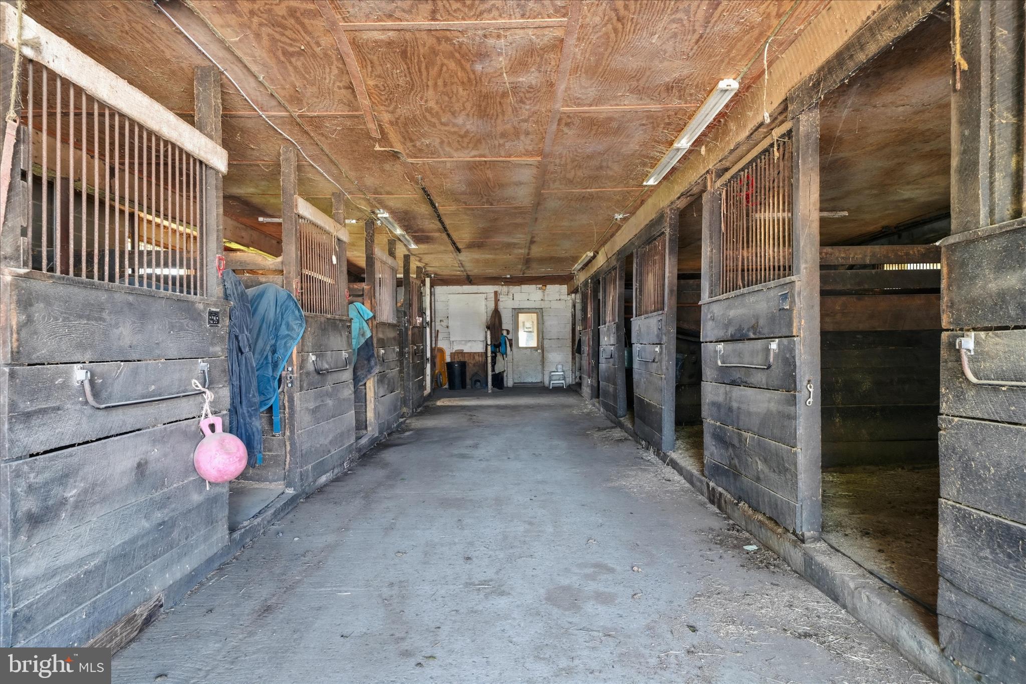 20800 Whites Ferry Road Poolesville, MD 20837 - Photo 24 of 94 Stalls in Dairy Barn